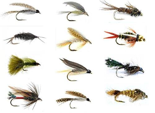 Fly Fishing Lures Set - Wet and Dry Variety for Trout and Freshwater Fish -  12 Patterns
