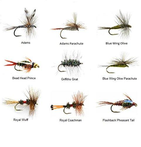 Fly Fishing Flies, Fly Assortment for Trout Bass Salmon, Dry/ Wet Flies  with Box, Nymphs, Streamers, Eggs(FL110) : : Sports, Fitness &  Outdoors