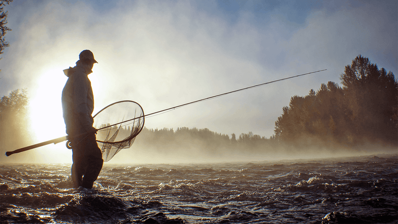 Feeder Creek Fly Fishing Assortment - 6 Trout Palestine