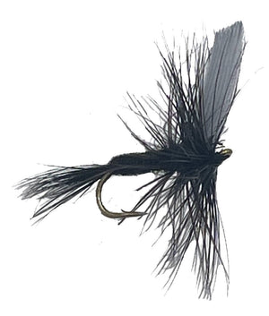 Black Gnat Dry Fly