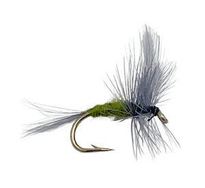 Blue Wing Olive Dry Fly