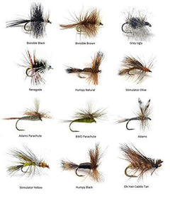 24 Dry Fly Trout Assortment, Adams Wulff, Royal Wulff, Elk Caddis, Blue  Wing, Z Caddis Larva, Stimulator, a Great Fly Fishing Assortment for Trout.