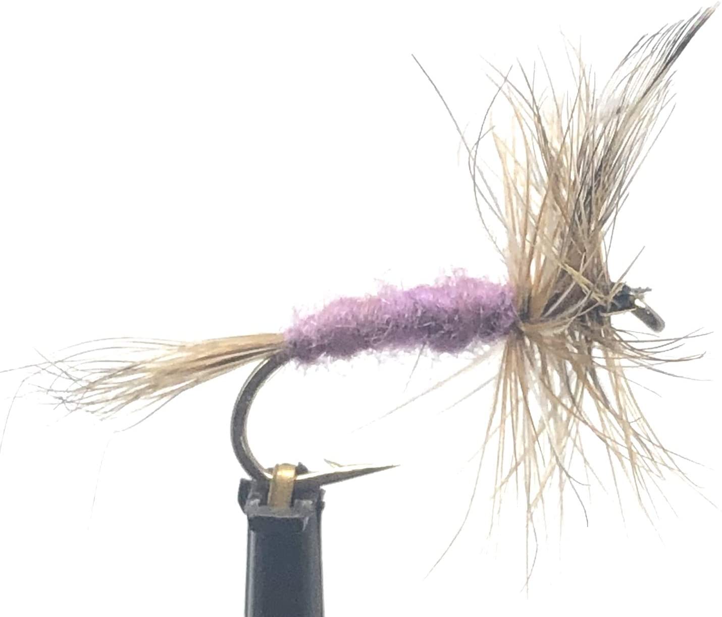 Fly Fishing Flies for Trout - ADAMS DRY FLY - Hand Tied Size 12 with Purple  Body