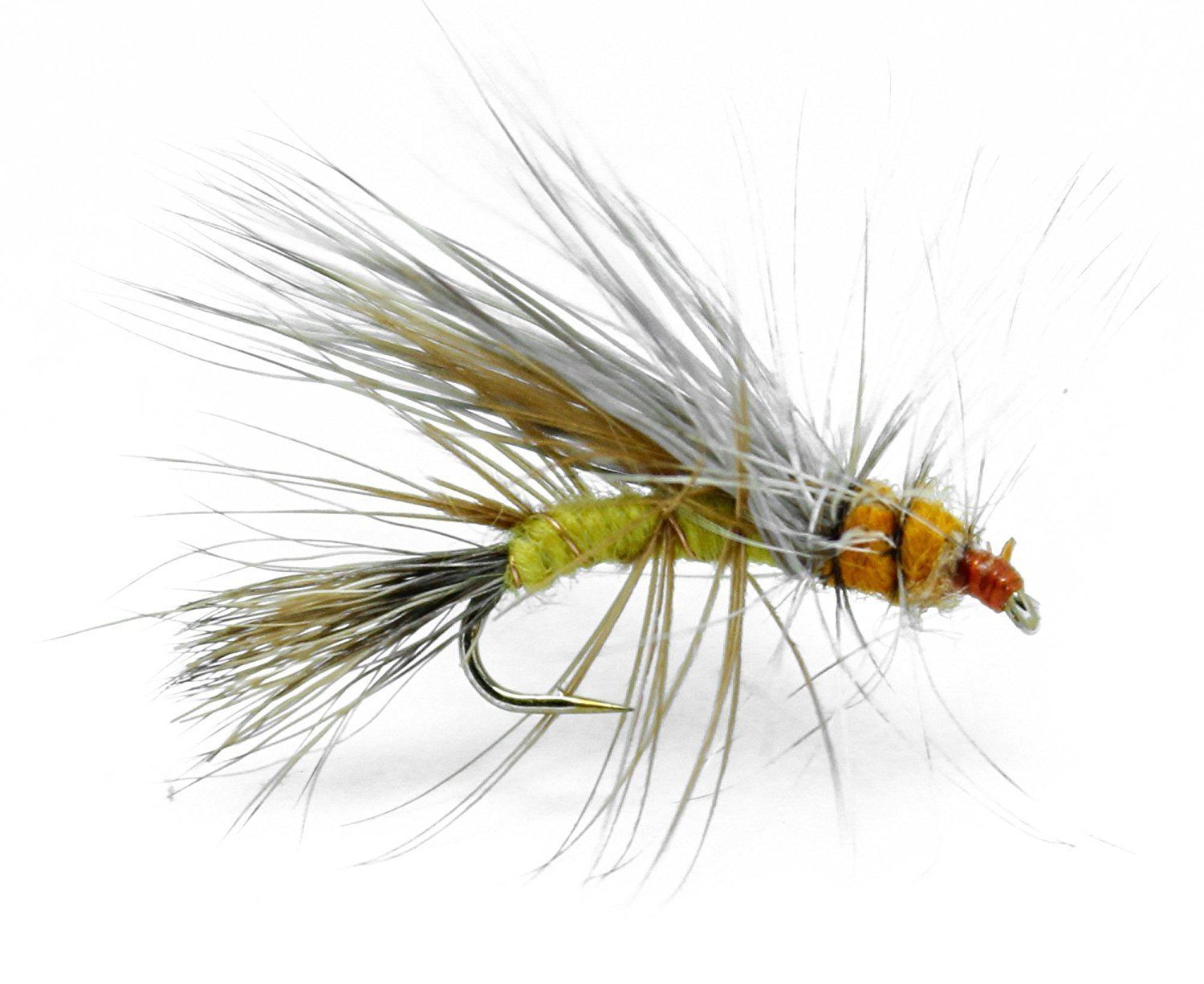  Feeder Creek Stimulator Olive/Green Dry Fly, 12 Fly Fishing  Lures for Trout, Panfish, Steelhead & More Freshwater Fish, Hand Tied, 4  Size Assortment 12,14,16,18 : Sports & Outdoors
