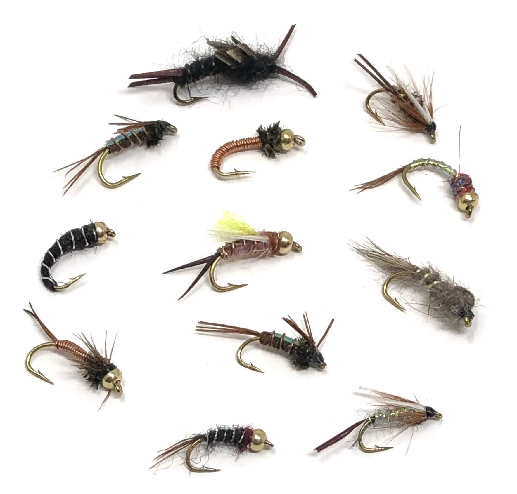 Buy Wild WaterFly Fishing 60 Most Popular Flies in Mini-Mega Assortment  with Small Fly Box incl. Dry, Caddis, Nymph, Wooly Bugger for Trout,  Panfish, Crappie, Sunfish Online at desertcartSeychelles