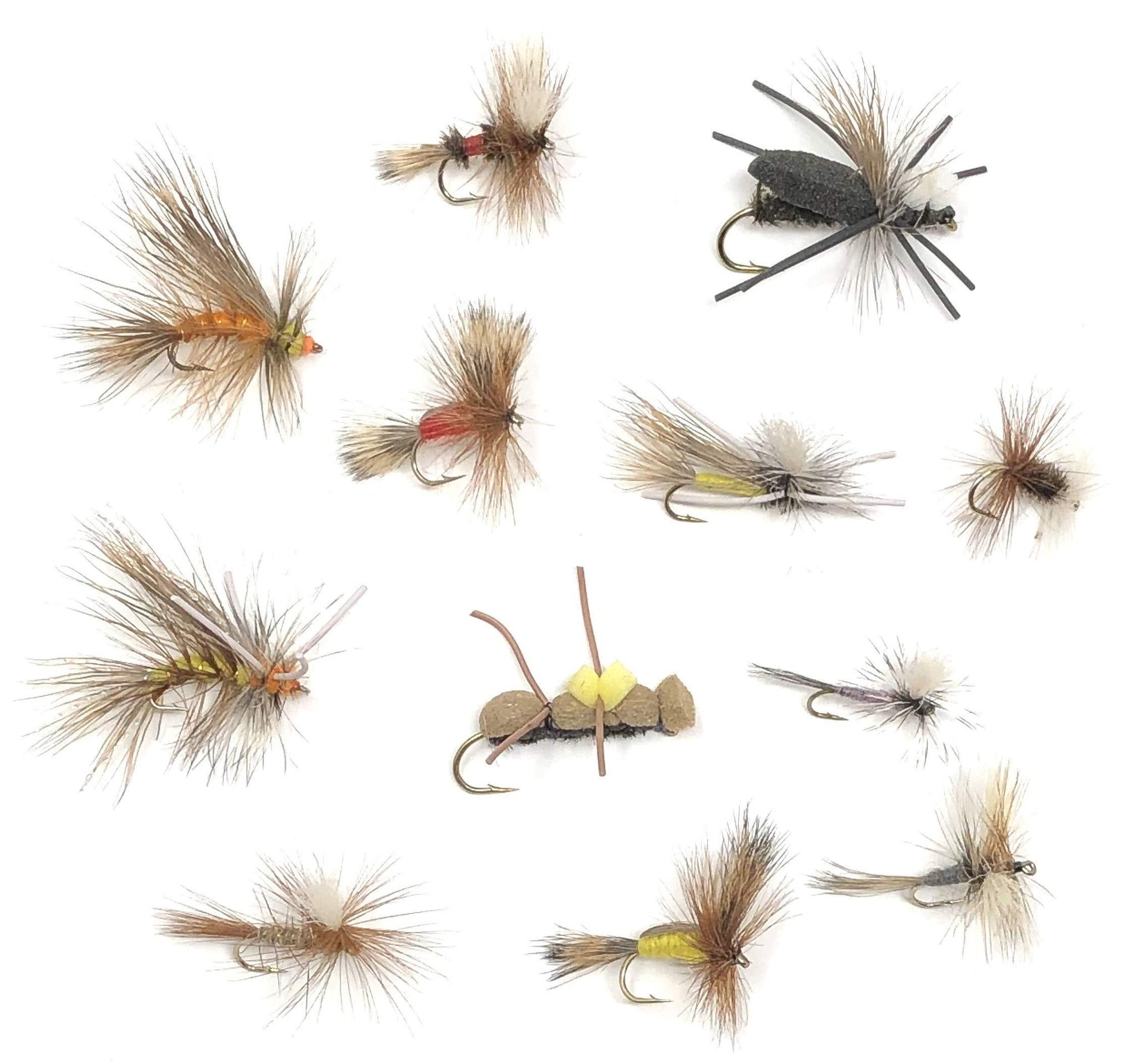 Feeder Creek Fly Fishing Trout Flies - Zebra Midge Assortment - 20 Wet  Flies - Size 18, 20