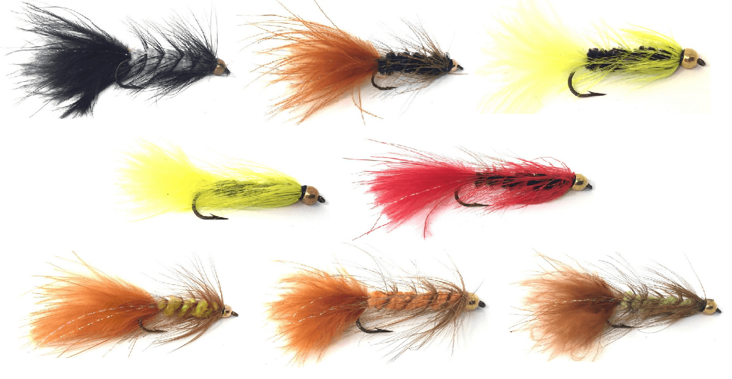 Fly Fishing Flies, Wooly Bugger Assortment